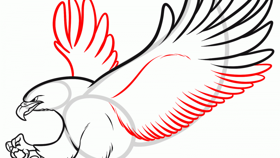 960x544 How To Draw Bald Eagle Flying Step