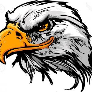 300x300 Top Eagle Hawk Bird Wings Animal Insignia Emblem Vector