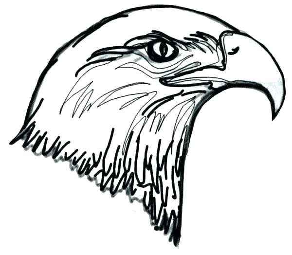 600x524 Bald Eagle Coloring Pictures