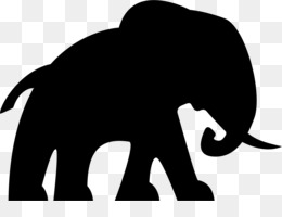 260x200 Elephant Face Png