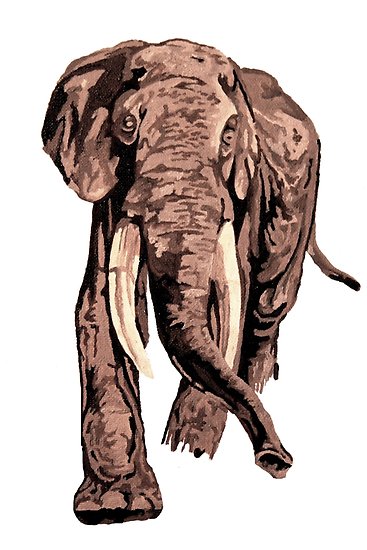 367x550 Realistic African Elephant In Brown Shades Posters