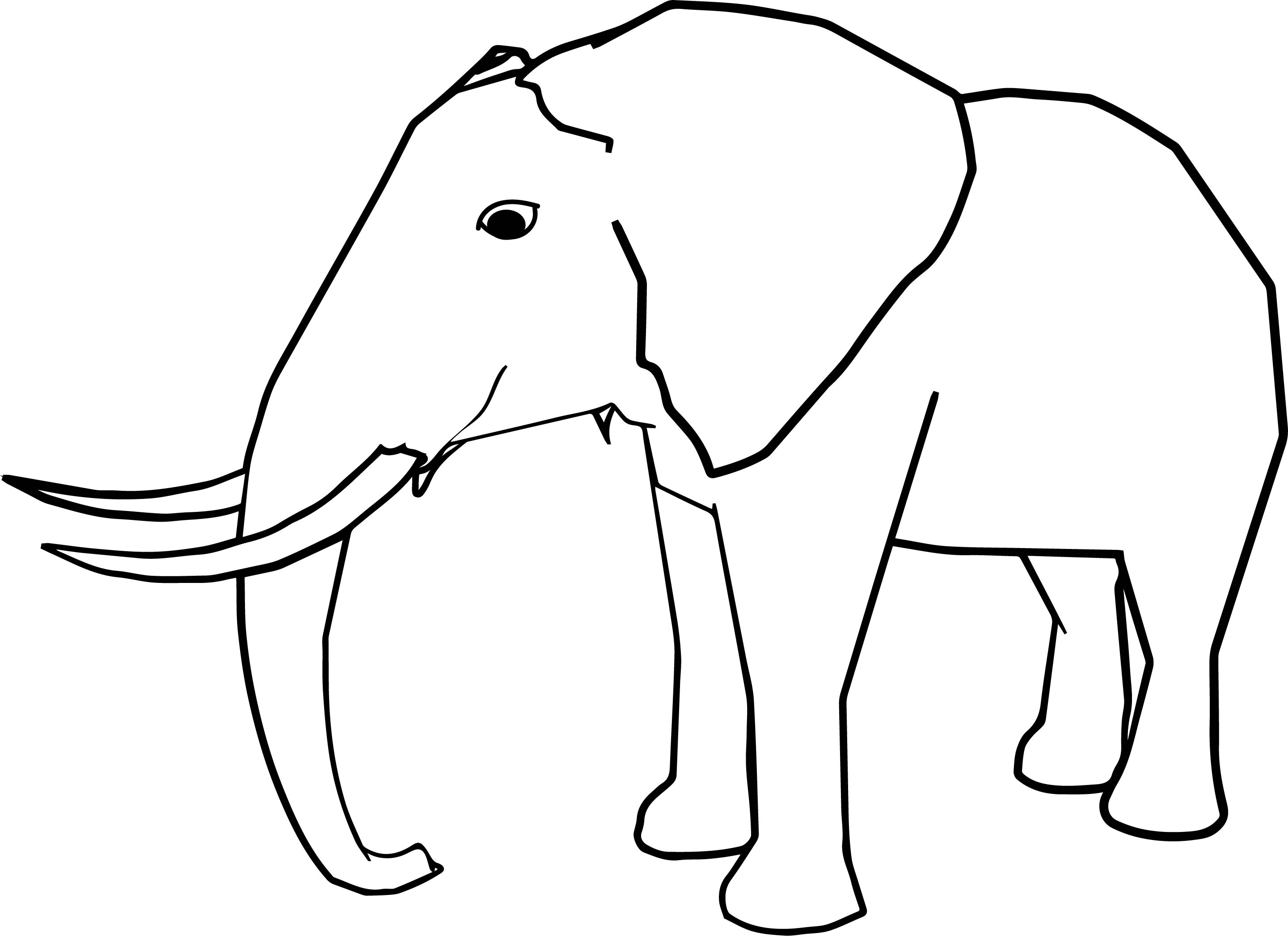 2881x2096 Side Realistic Elephant Coloring