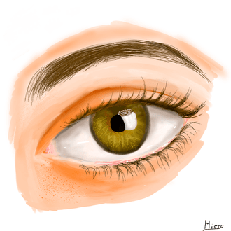 330x330 Realistic Eye