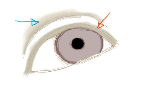 500x309 Portrait Drawing Tutorial