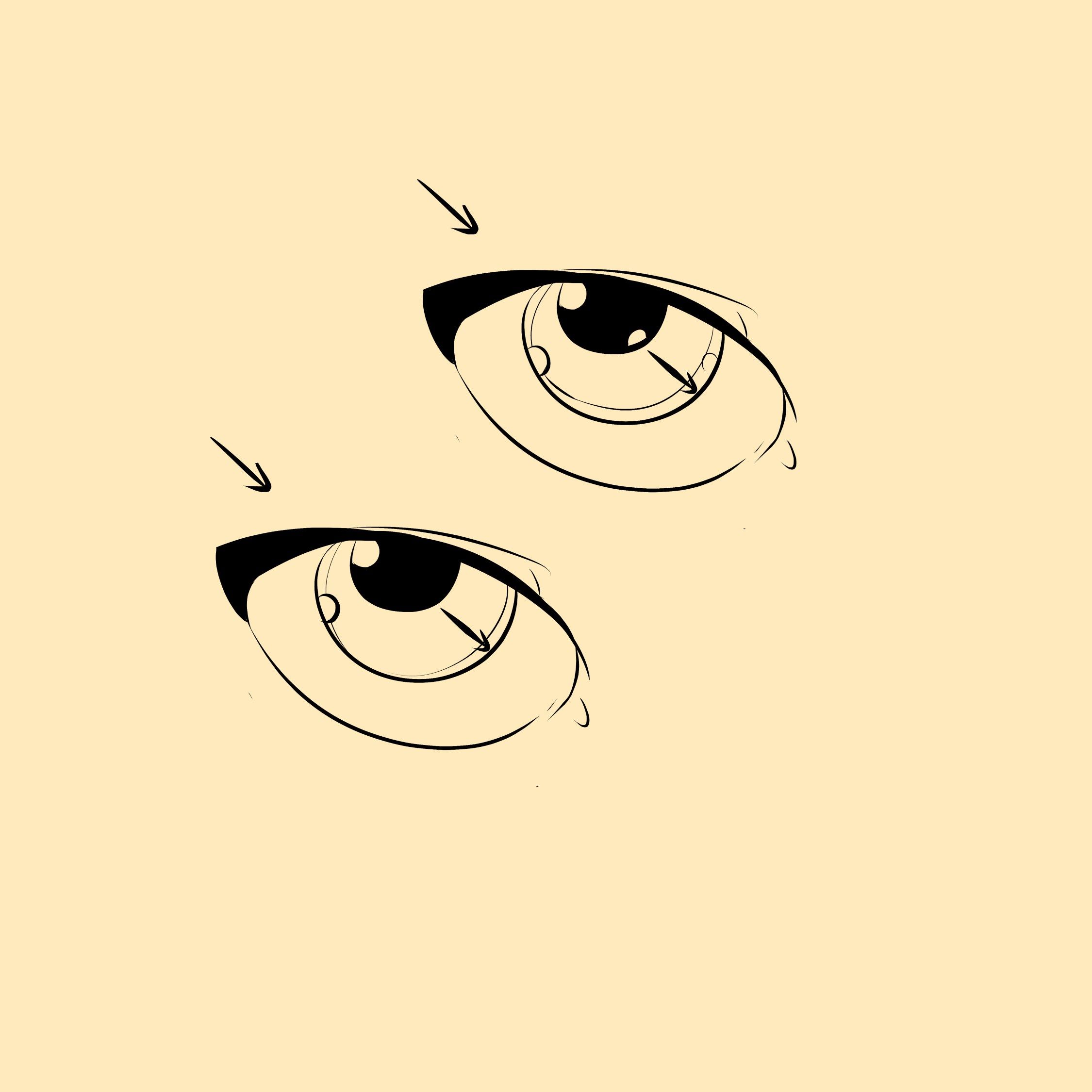 2250x2250 Draw Eye Anatomy
