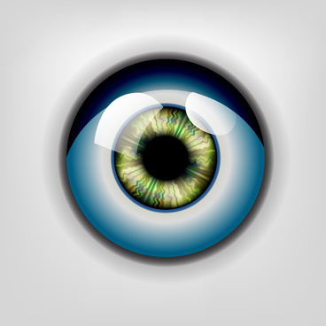 368x368 Vector Realistic Eye Free Vector Download