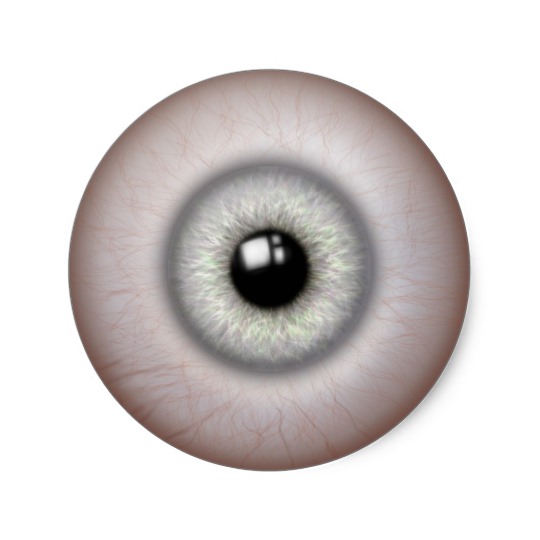 540x540 Realistic Looking Eyeball Stickers Zazzle Ca