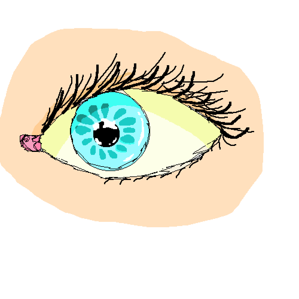 1000x1000 Collection Of Free Eyebrows Drawing Realistic Download On Ui Ex