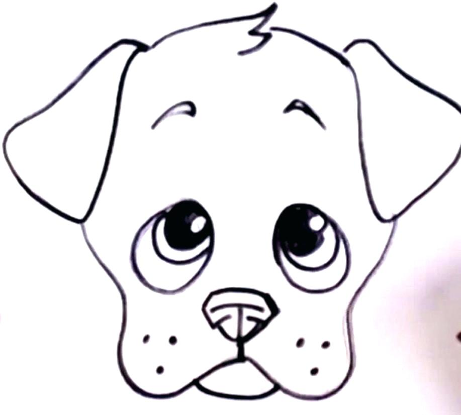 917x826 Easy Puppy Drawings How To Draw A Realistic Puppy Step