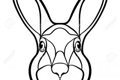 236x157 Realistic Bunny Face Drawing Tags Bridge Drawing Bus Braided