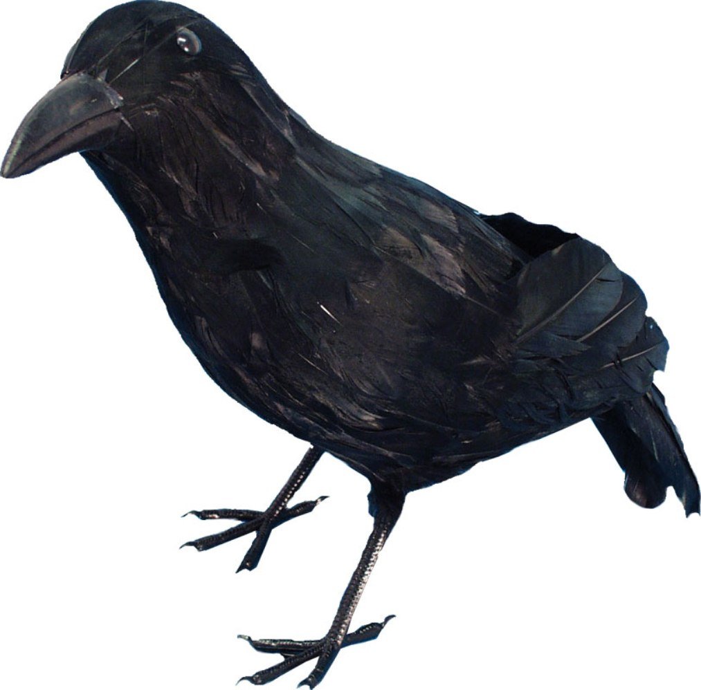 1013x998 Contact Wait Out Merchandise