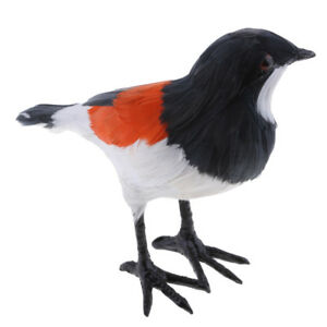 300x300 garden bird feathered ornament realistic red shrike animal outdoor