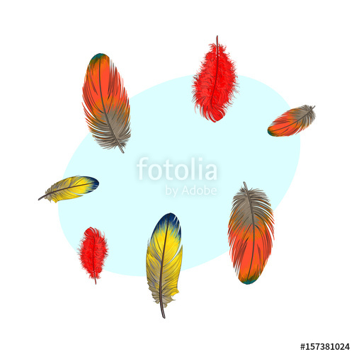 500x500 Hand Drawn Set Of Various Colorful Bird Feathers, Sketch Style