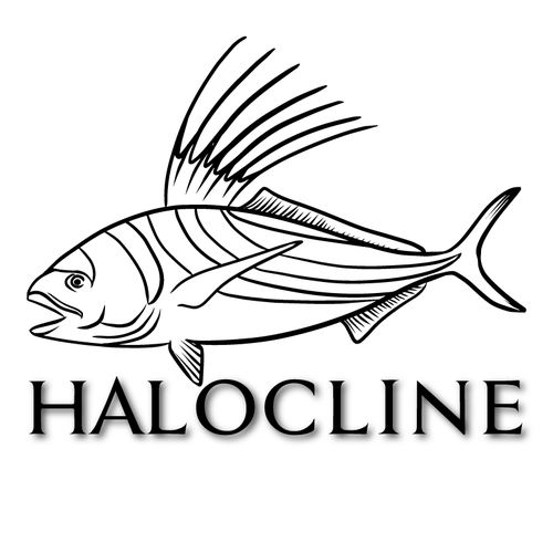 500x500 Freelance Drawing Fish Transparent Png Clipart Free Download