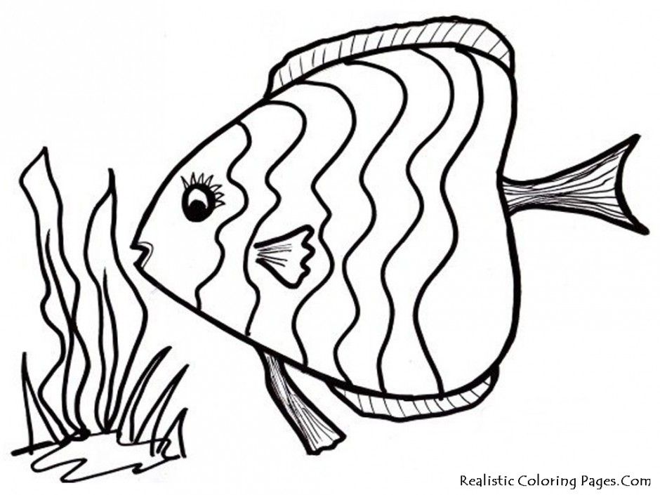 940x705 Realistic Fish Coloring Pages