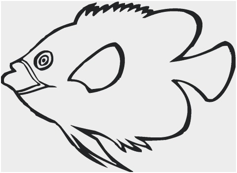 480x350 realistic fish coloring pages best of realistic sea life drawings