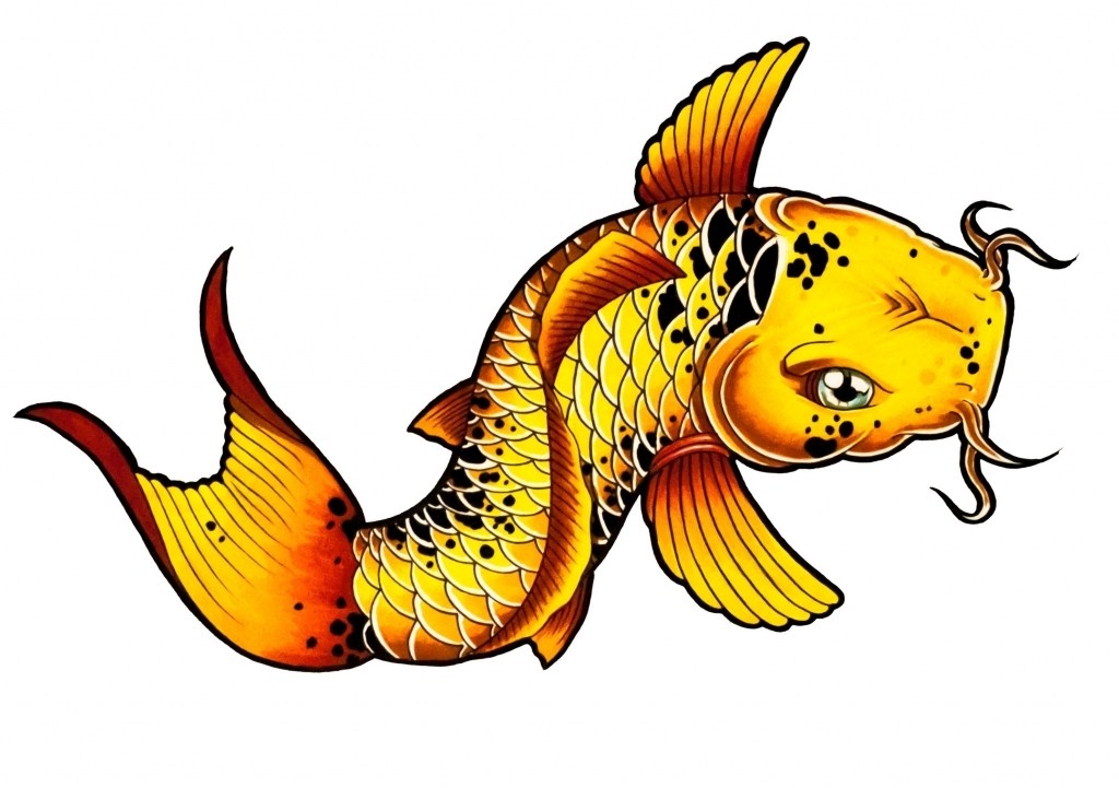 1024x721 Realistic Koi Fish Tattoo Drawings