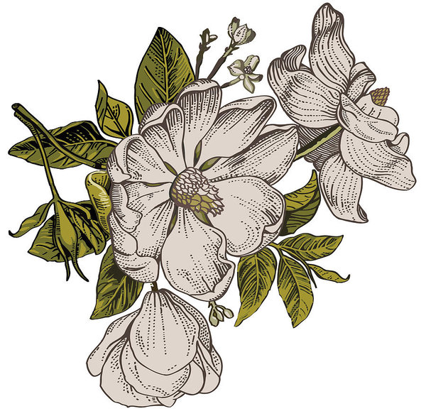 600x579 Beautiful White Blooming Realistic Isolated Flowers Vintage