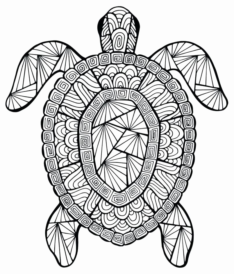 805x942 Realistic Sea Turtle Coloring Pages Beautiful Sea Turtles Coloring