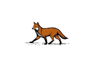 400x300 Fox Illustration