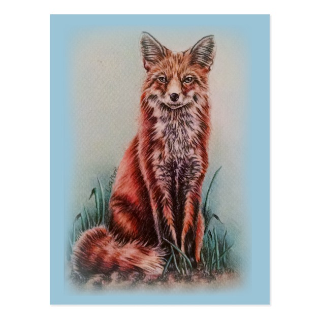 630x630 Red Fox Drawing Animal Art Pencil Sketch Postcard