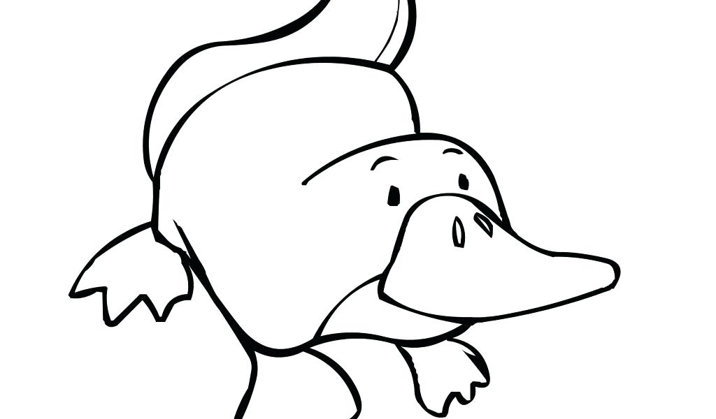 1024x600 Easy Way To Draw A Fox