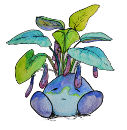 250x256 Frogs Drawing Mushroom Transparent Png Clipart Free Download