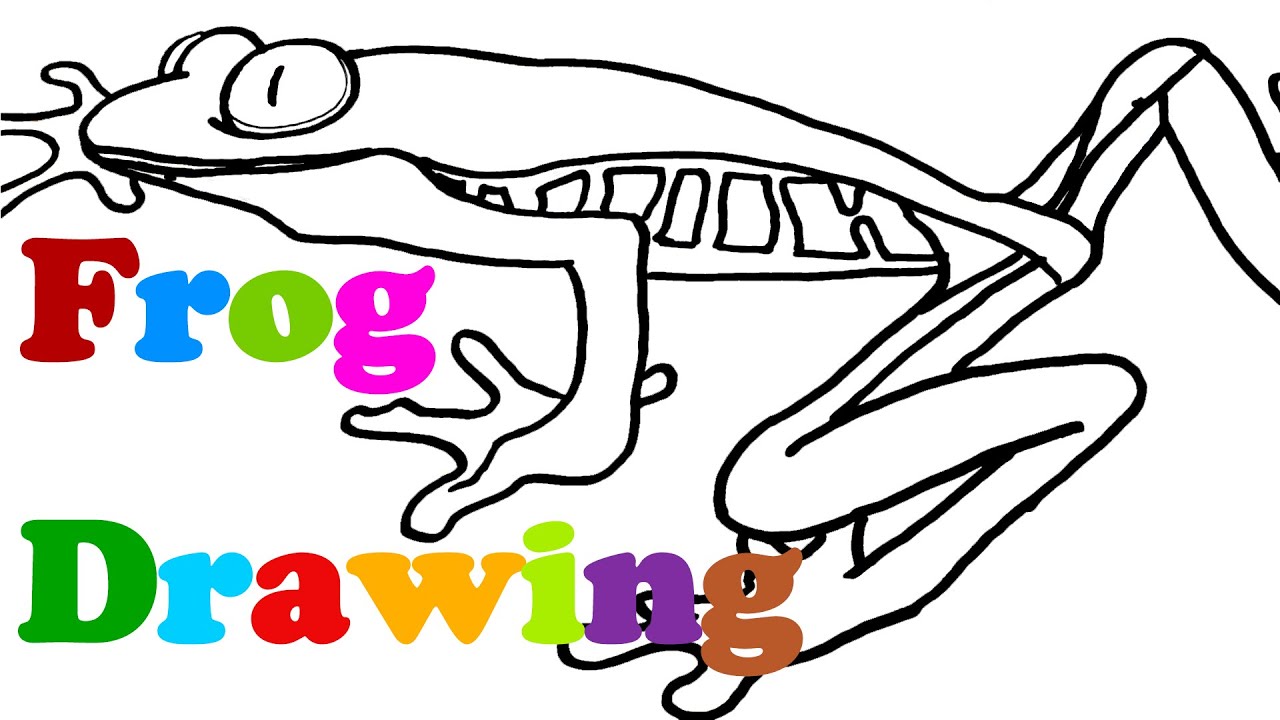 1280x720 How To Draw A Frog Easy For Kids Realistic Frog