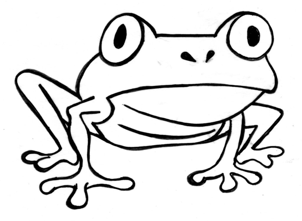 1024x749 Tree Frog Clipart Realistic