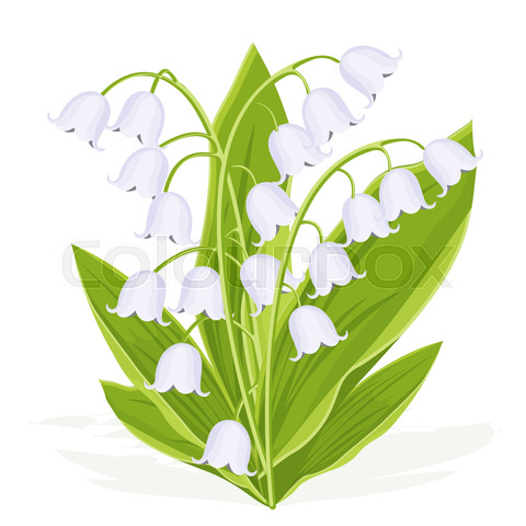 480x480 Evgeniya Chertova Photos And Vector Illustrations