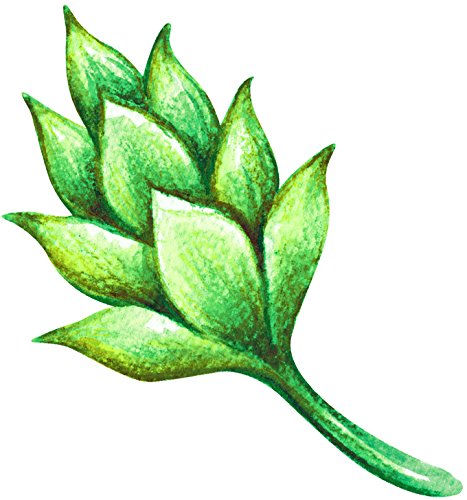 467x500 Beautiful Realistic Nature Plant Watercolor Art Vinyl