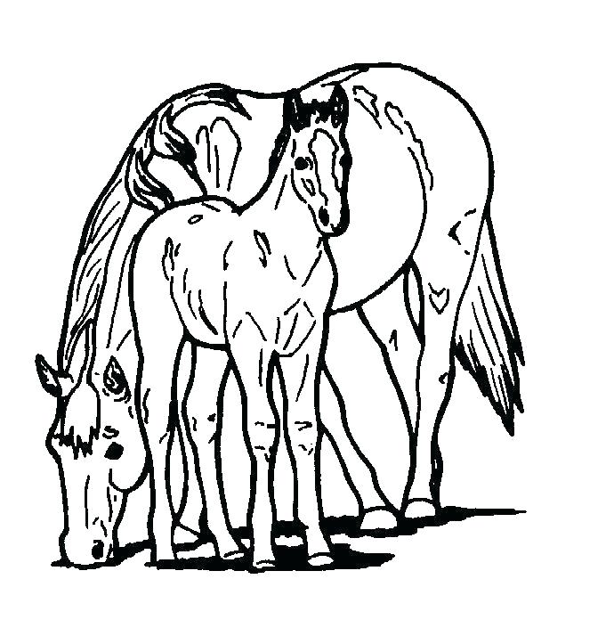 690x705 Horse Printable Coloring Pages Free Printable Coloring Pages