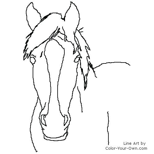 500x500 Horse Head Coloring Pages