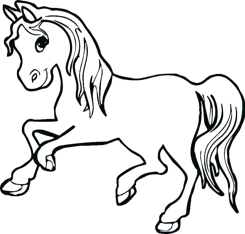 805x769 Realistic Horse Coloring Pages