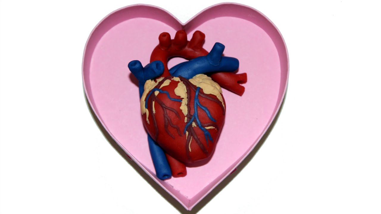 1280x720 How To Make A Human Heart For Valentine's Day With Play Doh