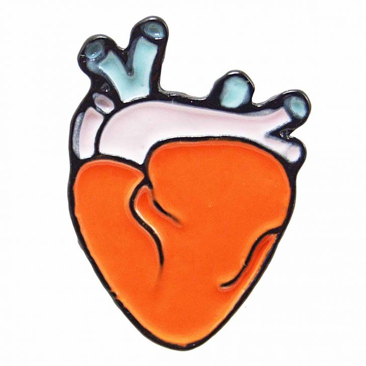 728x728 Anatomical Heart Drawing Vector Human Sketches Tattoo Vintage