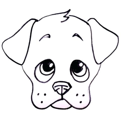 480x480 Easy Drawing Of A Puppy How To Draw A Puppy Step Easy Drawing