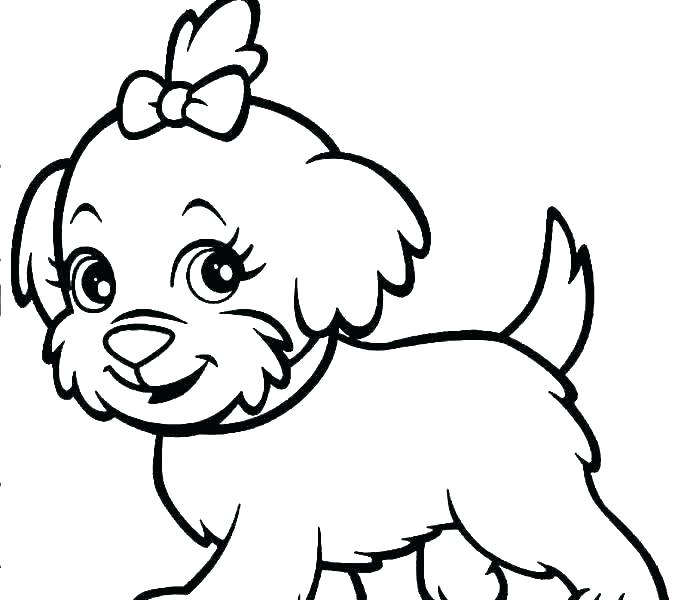 678x600 Husky Coloring Pages Coloring Sheet Dog Husky Coloring