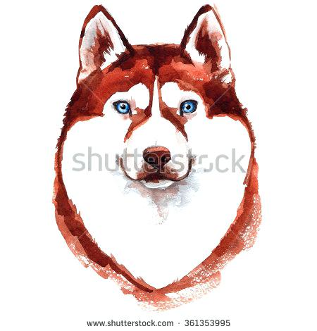 450x470 Husky Drawing Dog Drawings In Pencil Easysurfer