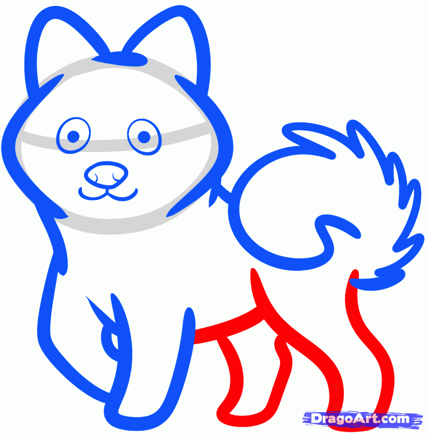 833x850 Husky Drawing Easy