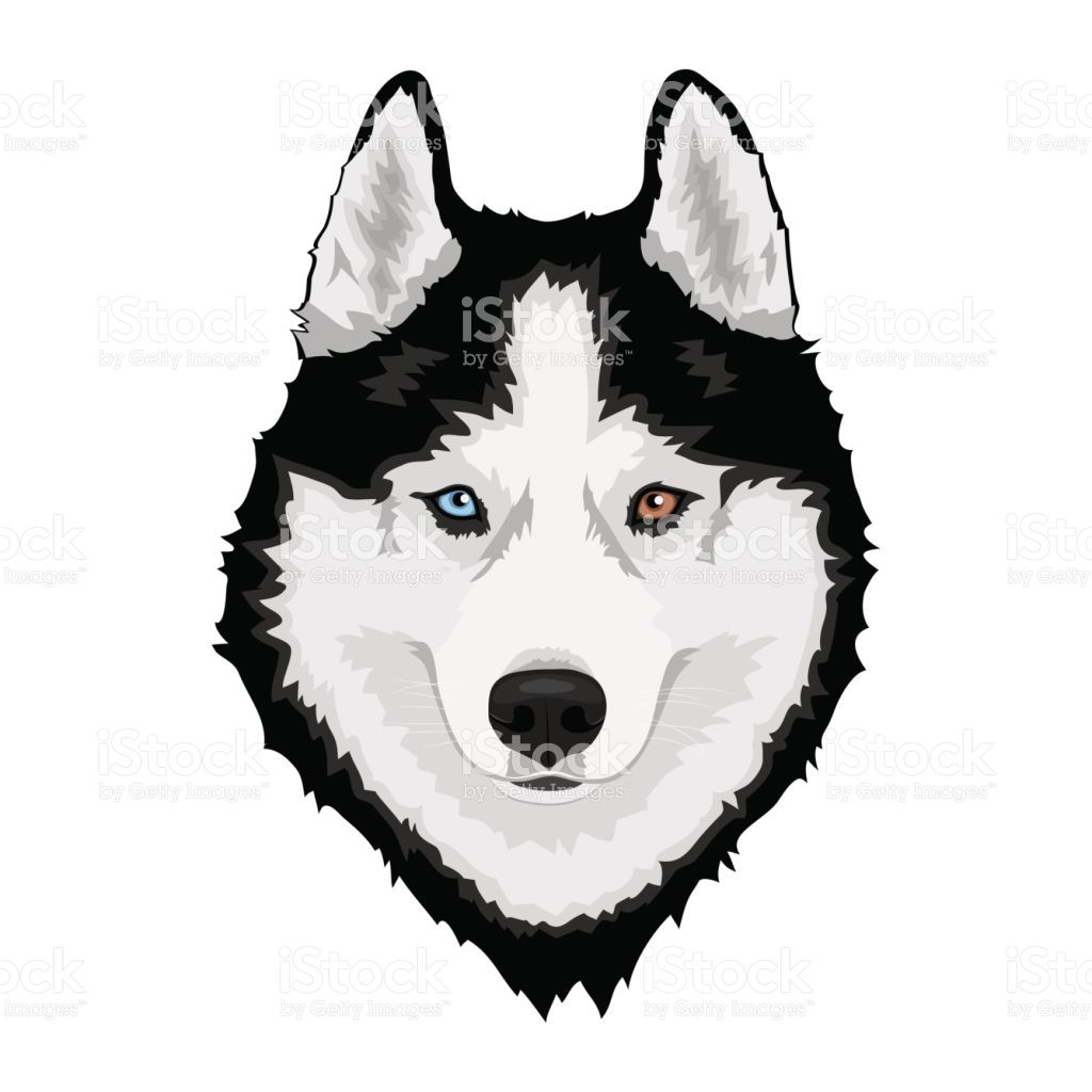 1024x1024 Black And White Siberian Husky With Multi Colored Eyes Hand Drawn