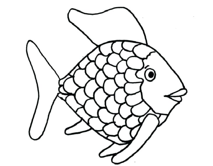 730x569 Printable Fish Coloring Pages For Adults Jellyfish To Print Free
