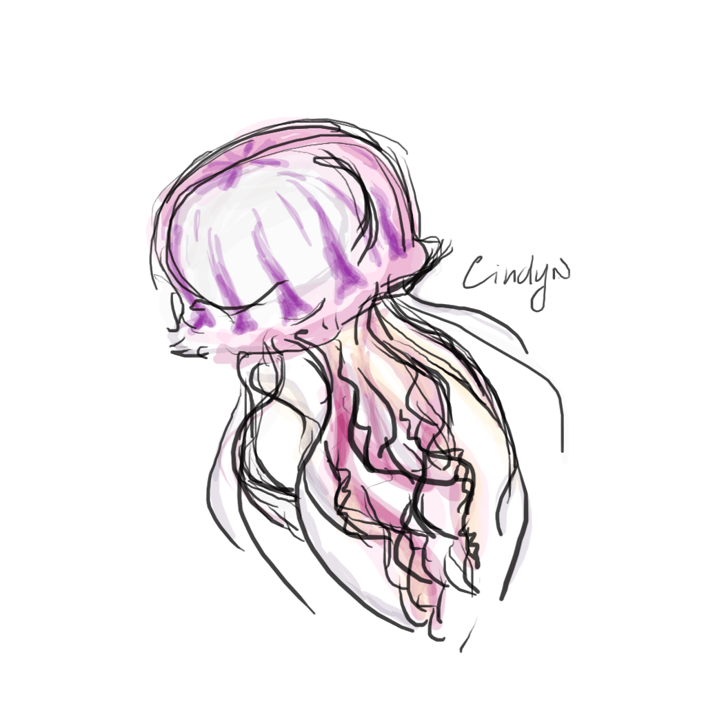 1024x1024 Realistic Jellyfish Drawing