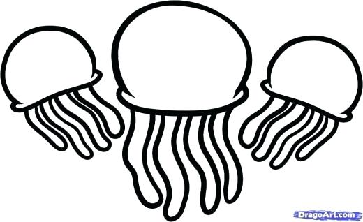 520x318 How To Draw A Jellyfish