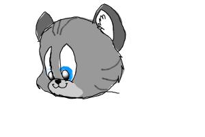 300x200 How To Draw A Kitten