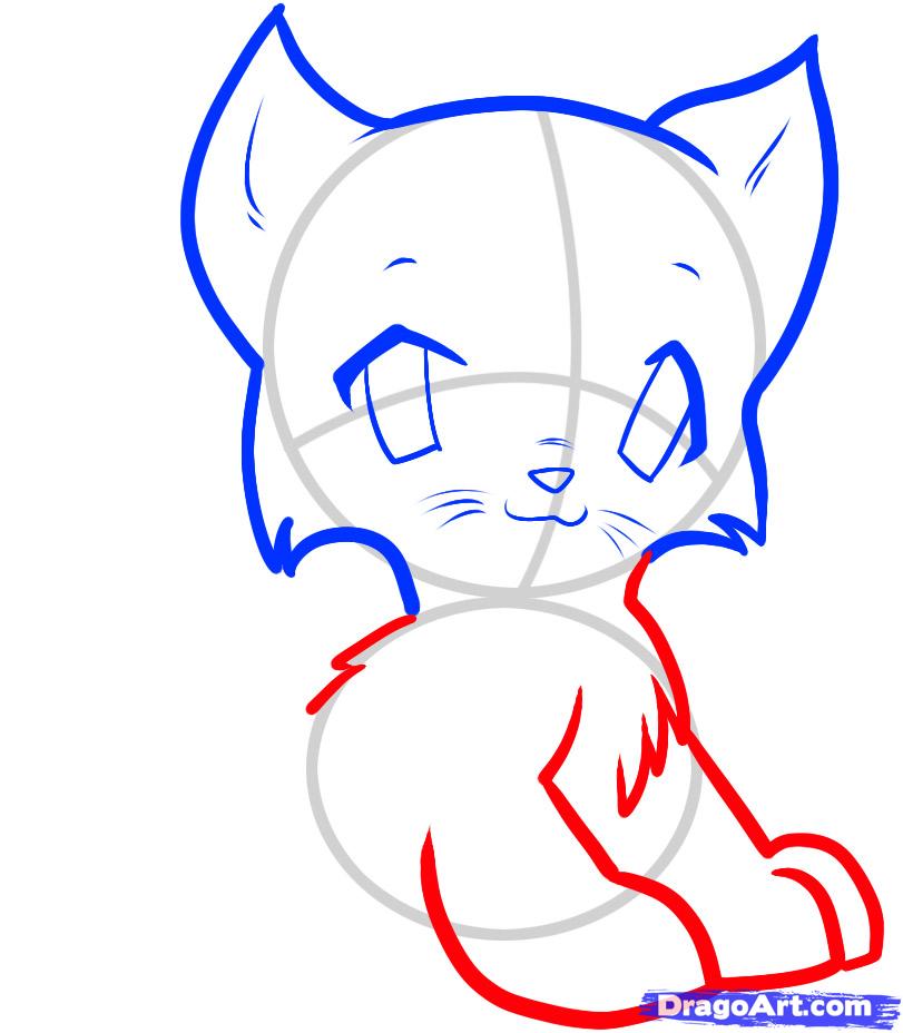 811x928 How To Draw An Anime Kitten, Anime Kitten, Step