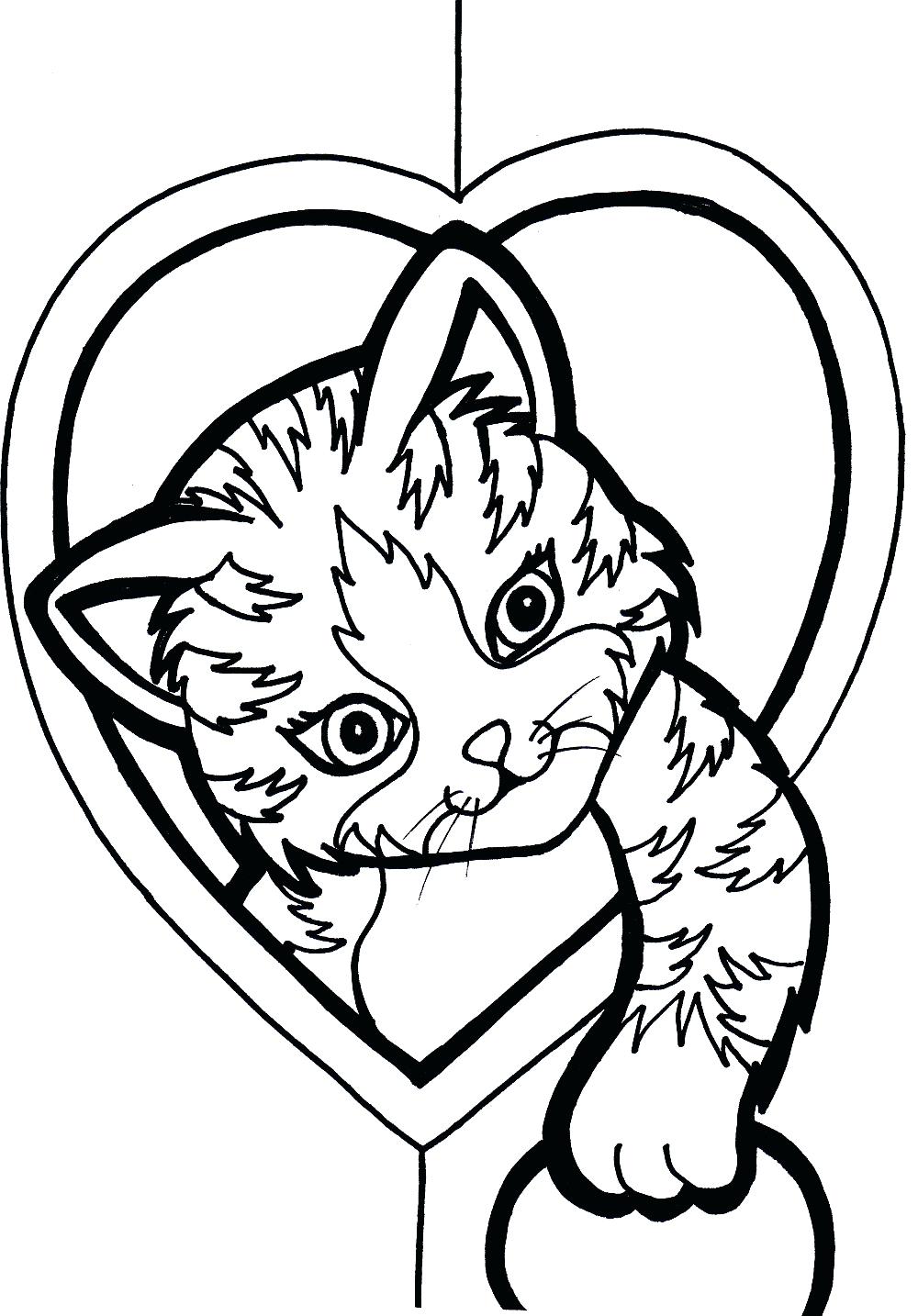 1000x1434 Realistic Kitten Coloring Pages Printable Friends Cute Realist