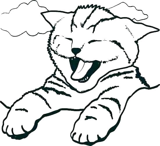 550x503 Realistic Kitten Coloring Pages