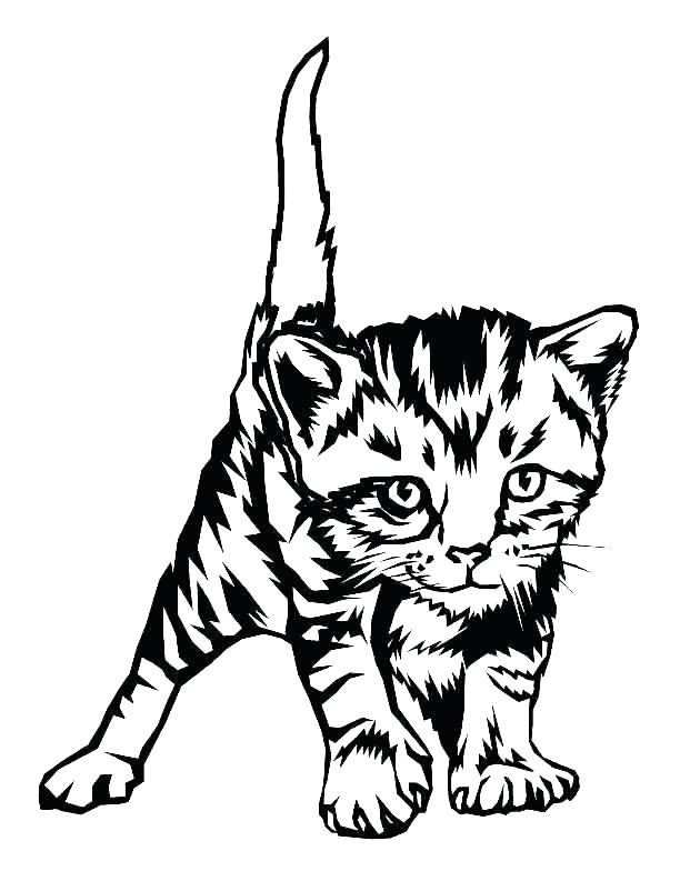 612x793 Coloring Sheet Kitten