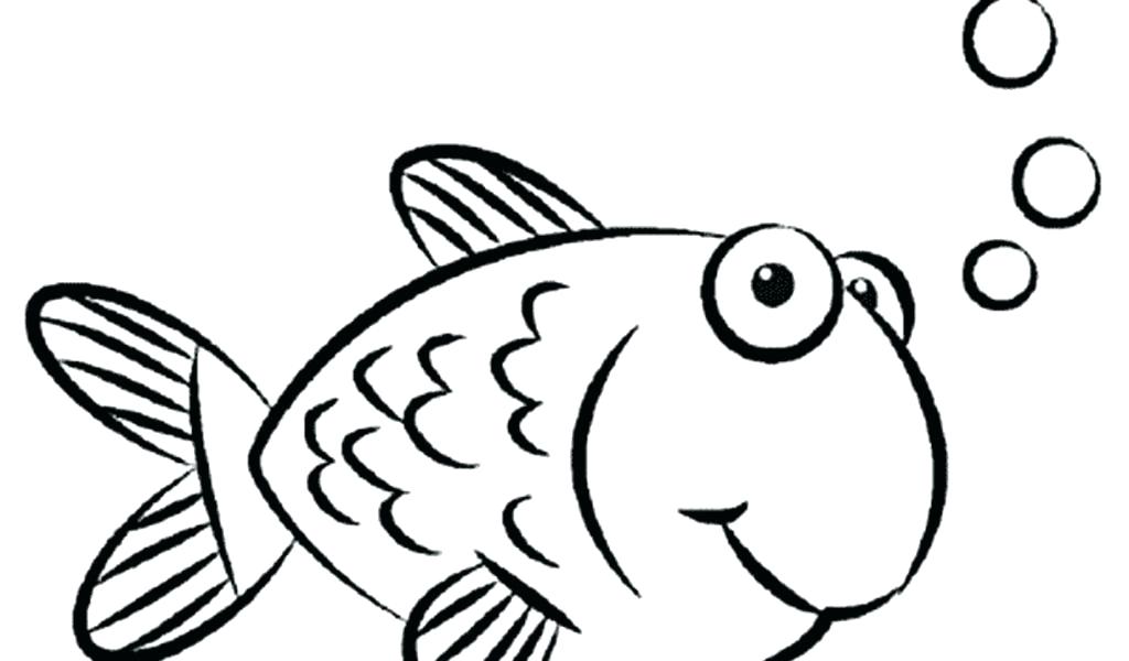 1024x600 draw a goldfish comments draw a goldfish step